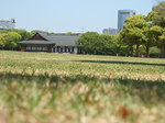 DSCF1591.JPG