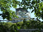 DSCF1602.JPG