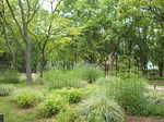 DSCF1629.JPG