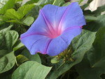 DSCF1636.JPG