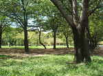 DSCF1733.JPG