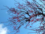 DSCF2008.JPG