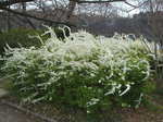 DSCF2040.JPG