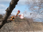 DSCF2047.JPG