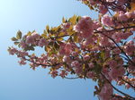 DSCF2085.JPG