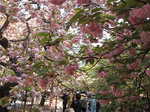 DSCF2087.JPG