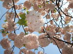 DSCF2091.JPG